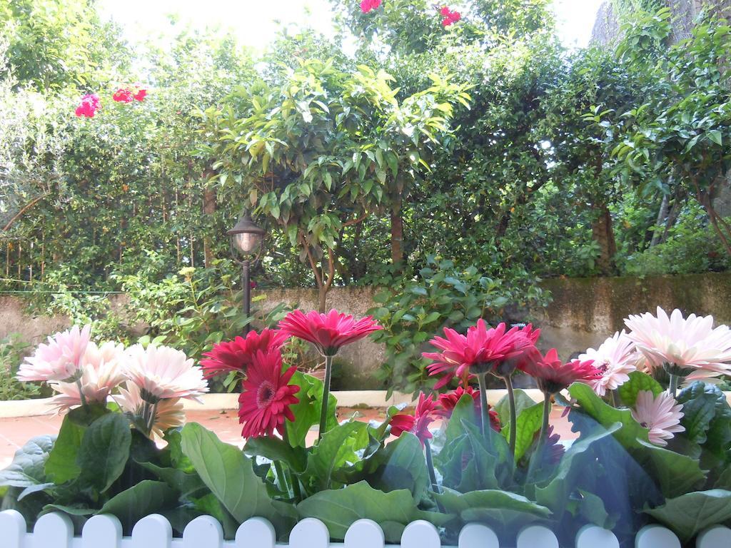 Certe Notti - Suites Pompéi Extérieur photo